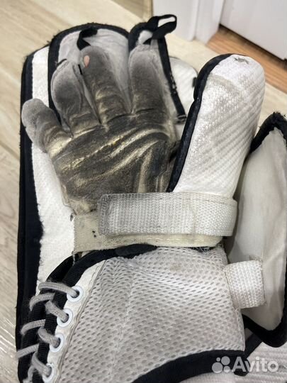 Комплект блин и ловушка bauer