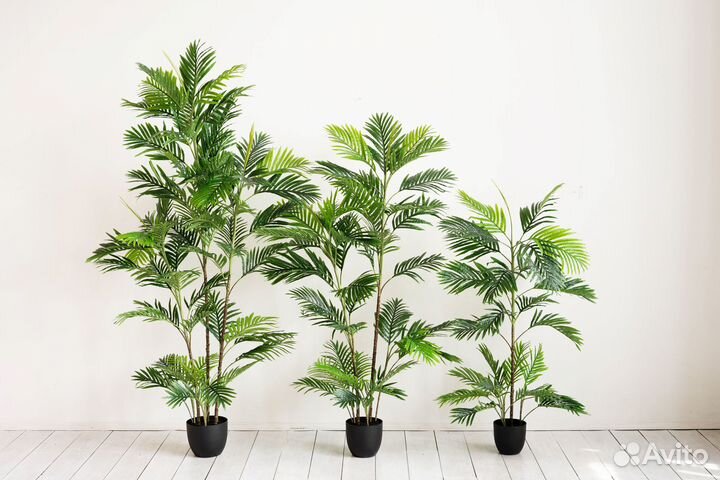 Искусственное дерево Пальма Ховея