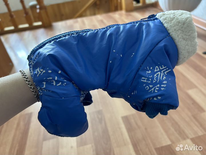 Вещи для маленьких собак