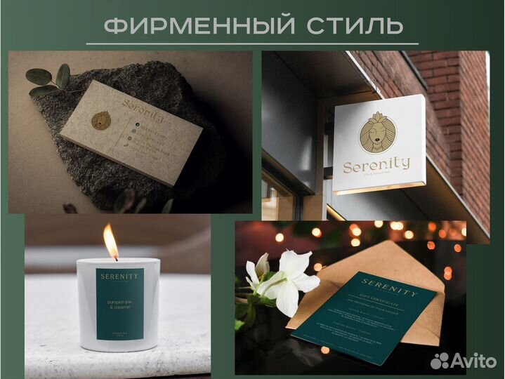 Инфографика / логотип / графический дизайнер