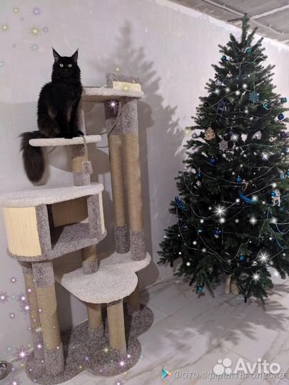 Когтеточка домик для кошки