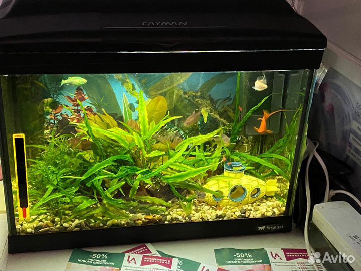 Украшение для аквариума