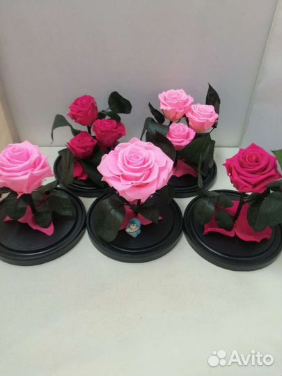 Роза в колбе