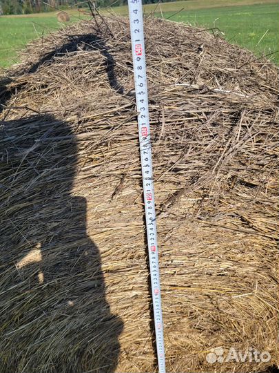 Сено в тюках