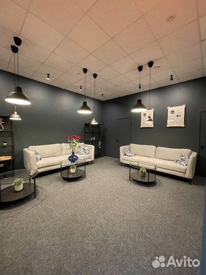 Продам прибыльный коворкинг мухха (300м2)