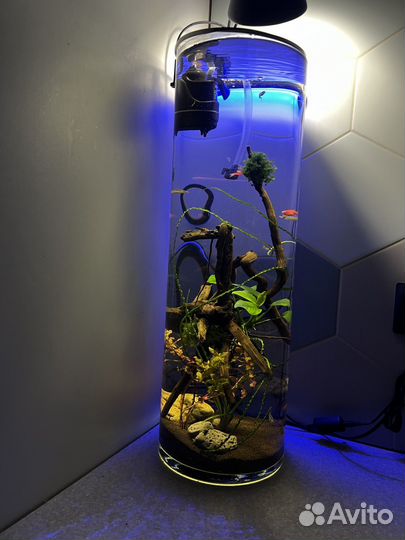 Аквариум с рыбками