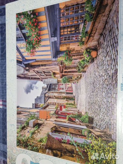 Пазл 3000 штук step puzzle