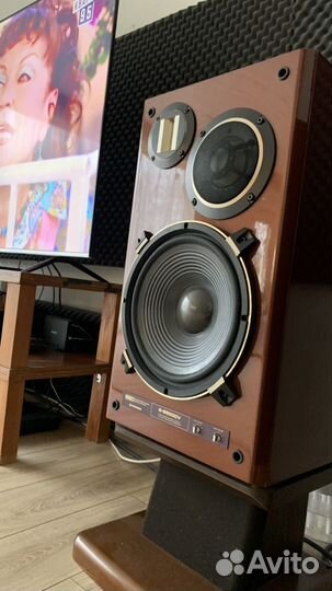 Pioneer S-9500DV