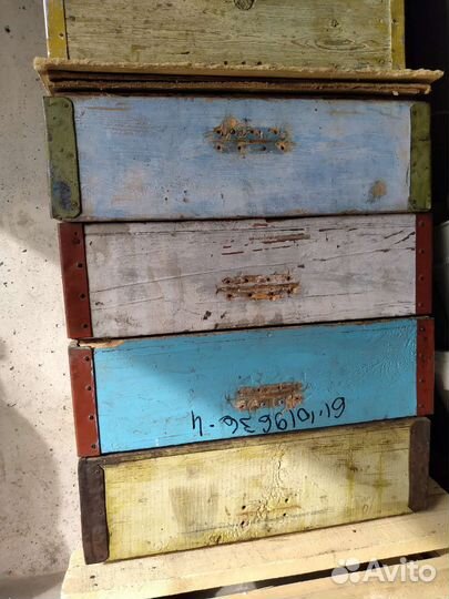 Ульи, пасека