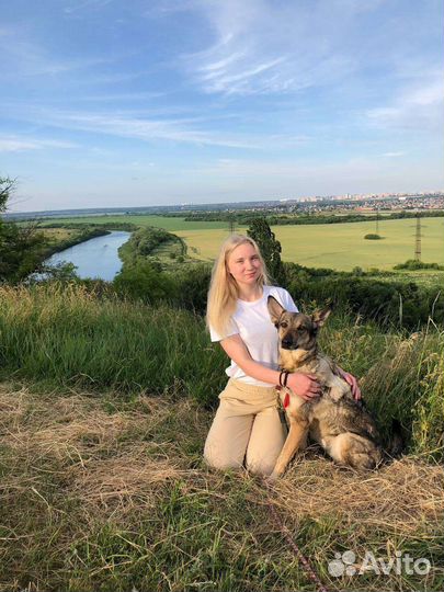 Занятия по дрессировке и воспитанию собак