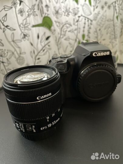 Canon 250D