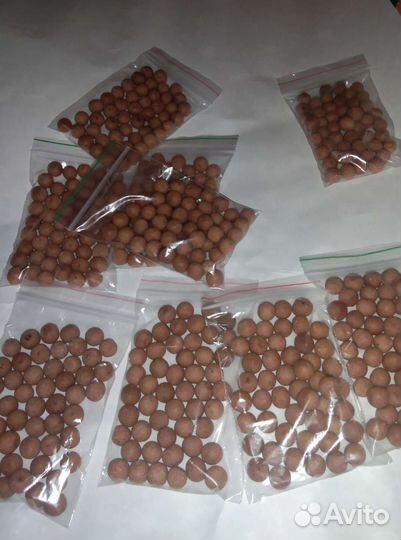 Бойлы на леща