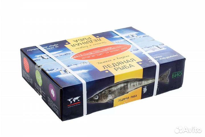 Ледяная рыба 250+гр Антарктика