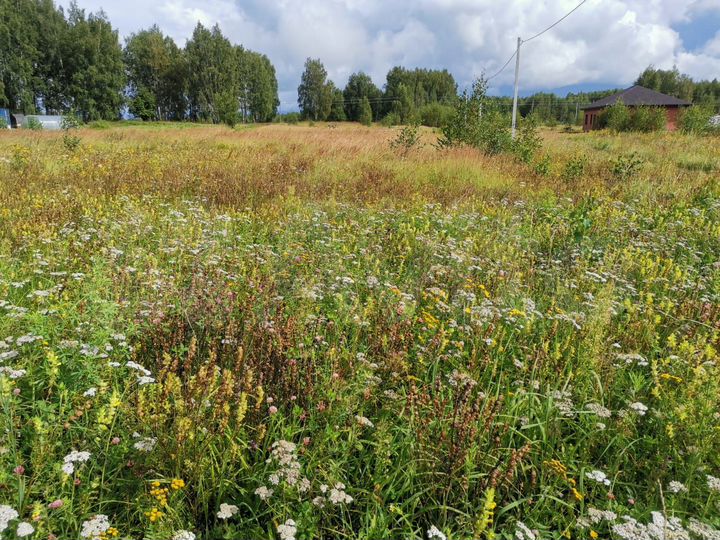 Участок 12 сот. (ИЖС)