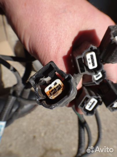 Лагуна проводка датчиков парковки Laguna 07-15