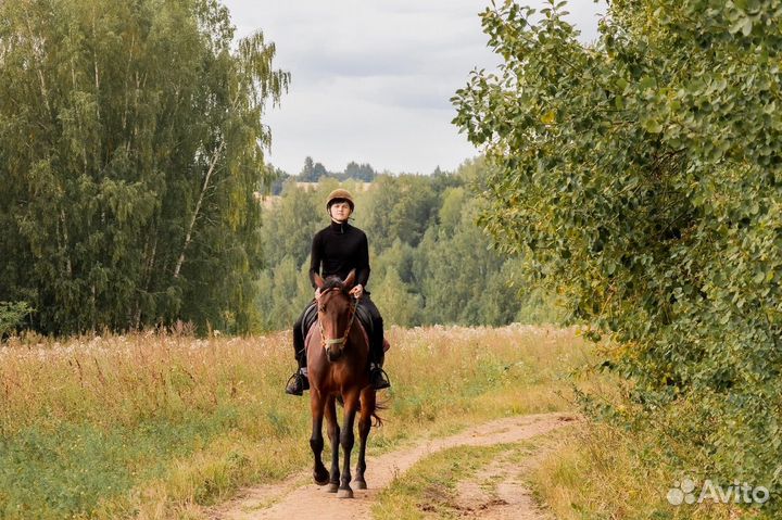 Конная прогулка Казань