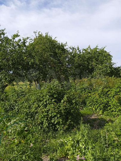 Дом 71,2 м² на участке 50 сот.