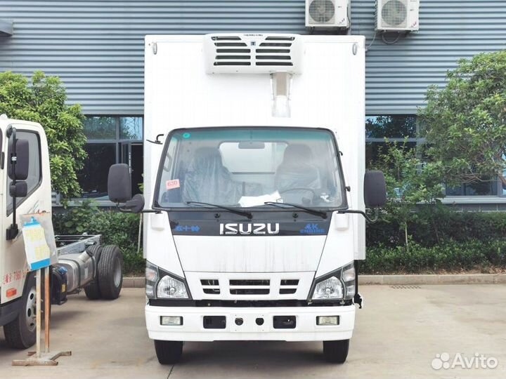 Isuzu Elf, 2024