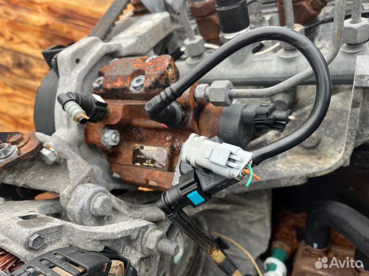 Тнвд, Renault Scenic 1 2001