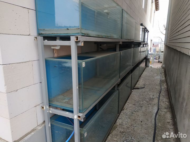 Аквариумы б/у, размеры,объемы,цены в описании