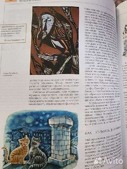 Энциклопедия для детей аванта человек