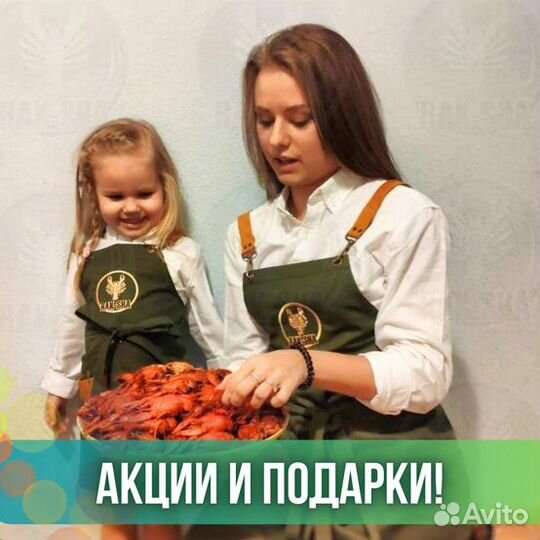 Живой гребешок Морской Морепродукты