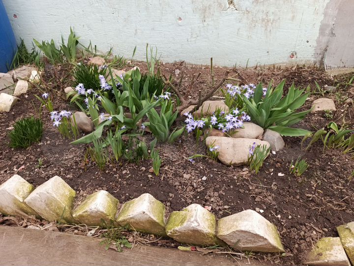 Участок 8 сот. (СНТ, ДНП)