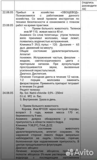 Дневник-отчёт по ветеринарной медицине