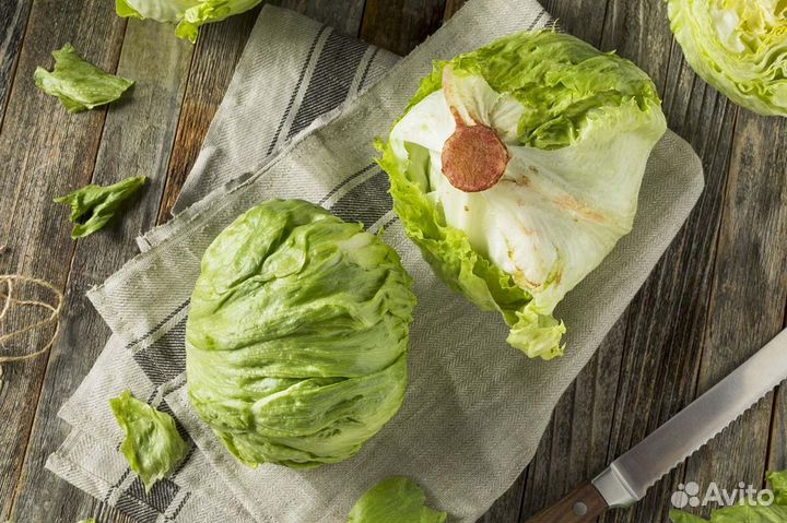 Обработчица упаковщица овощей/салатов Вахта Москва