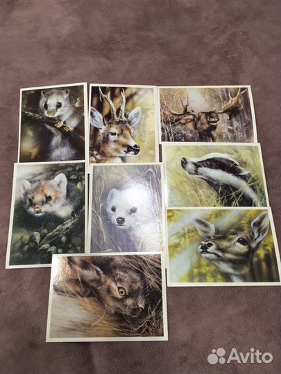 Открытки СССР и наборы открыток