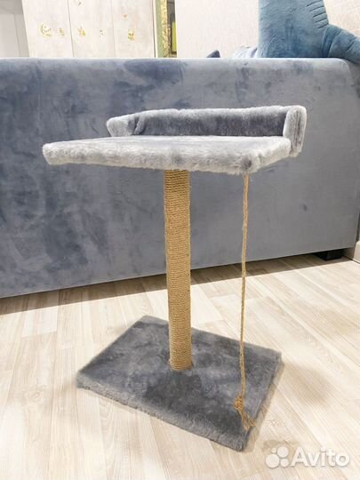 Когтеточка