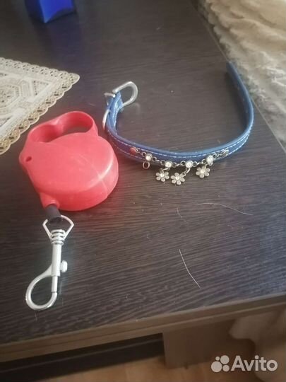 Товары для домашних животных