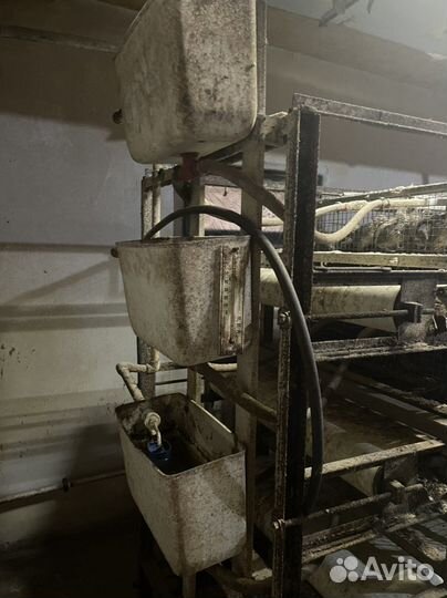 Клетка для перепелов