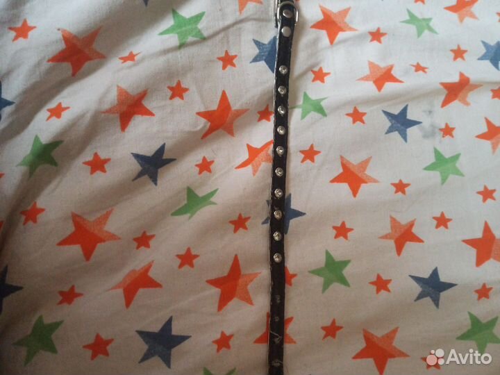 Шлейка для маленькой собаки и ошейник