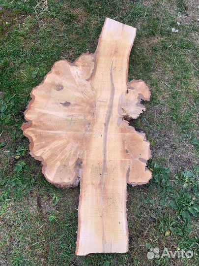 Срезы дерева