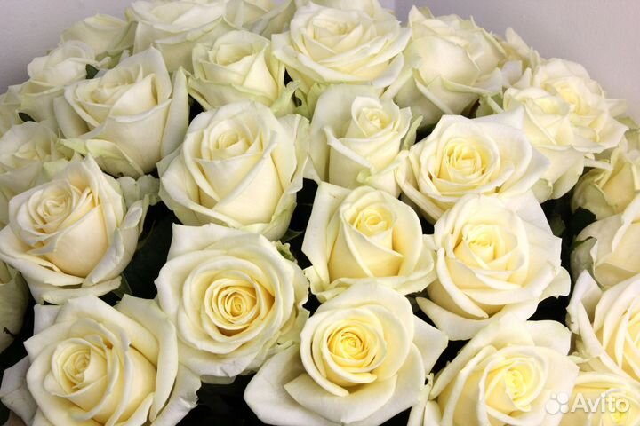 Доставка цветов букеты цветы розы