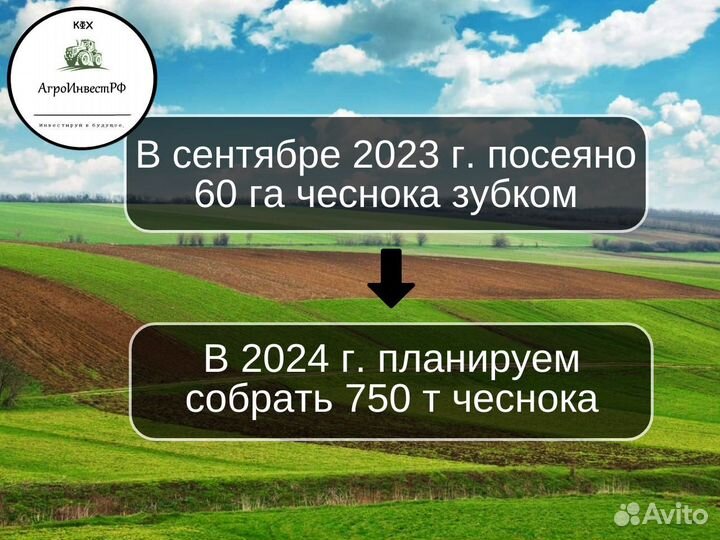 Инвестиции в готовый бизнес