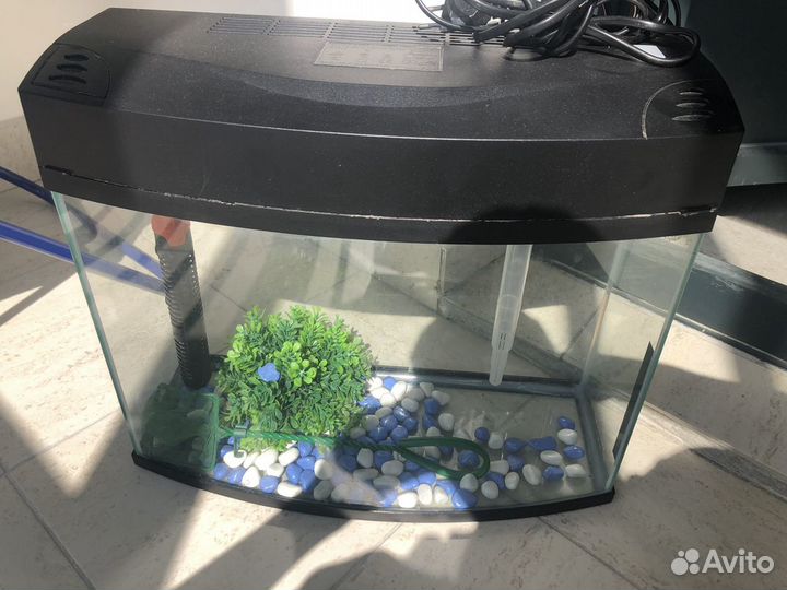 Аквариум