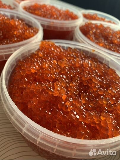 Икра красная горбуши 2023