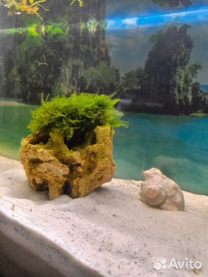 Стильный дизайнерский камень для аквариума