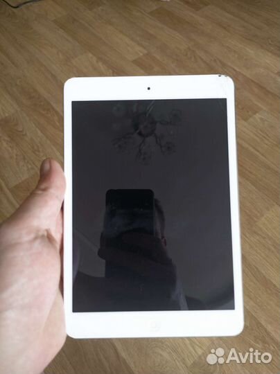 iPad mini 2