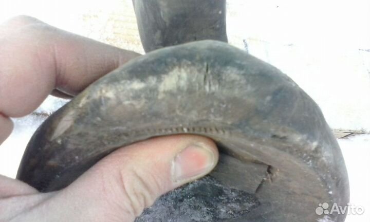 Резиновая утка