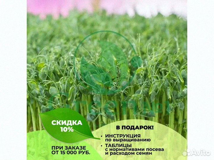 Качественная микрозелень