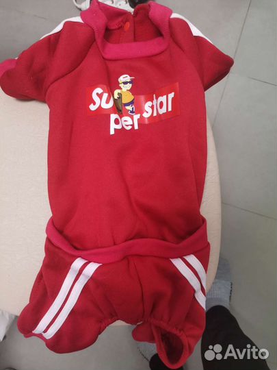 Костюмы для животных