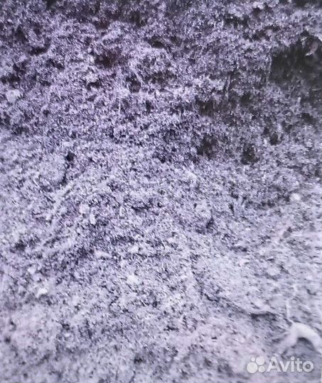 Кислый грунт