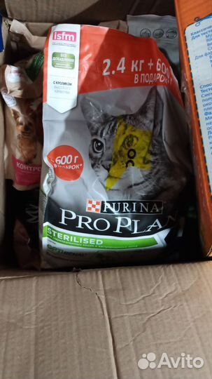 Корм для кошек