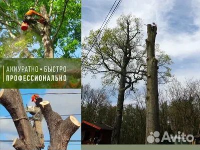 Спил деревьев, расчистка участков
