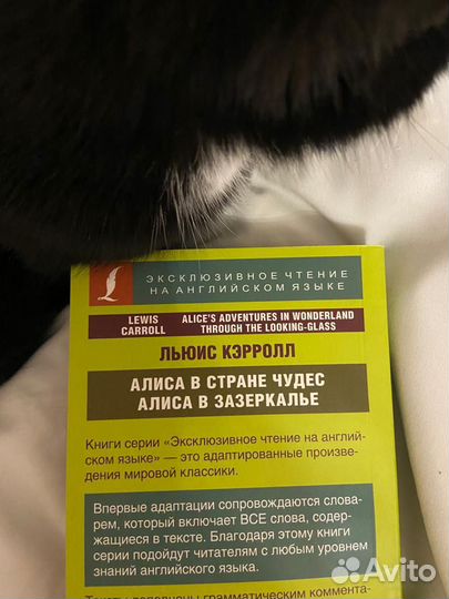 Алиса в стране чудес книга на английском