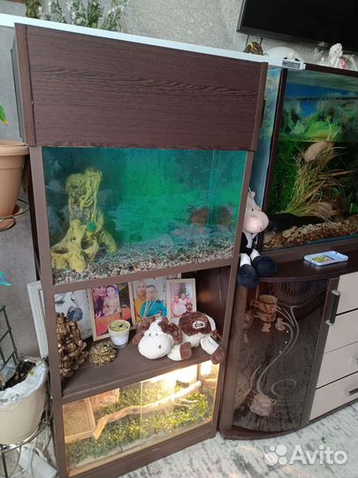 Аквариум+террариум