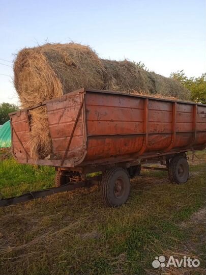 Сено в рулонах